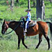 Yellowstone Horses - trail rides in Island Park - Family style mountain & meadow horseback rides. Great horses, great guides, reasonable rates and fantastic trails. We're located near the west entrance of Yellowstone Park.