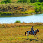 Yellowstone Horses - Daily Trail Rides
