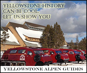 Yellowstone Alpen Guides - Park Snowcoach Tours - Individual private tours of Yellowstone in top quality historic snowcoaches to photograph wildlife and park scenery in winter. Kids = $95, seniors = $105, adults = $115.