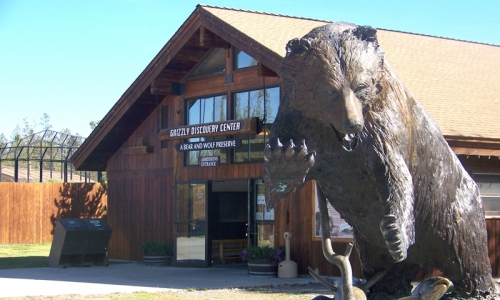 Grizzly Discovery Center West Yellowstone