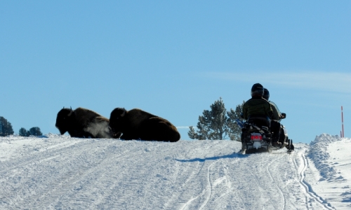 West Yellowstone Snowmobiling