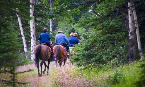 West Yellowstone Horseback Riding