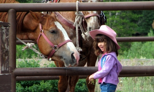 West Yellowstone Horse Trail Rides