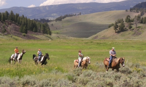 West Yellowstone Horseback Rides
