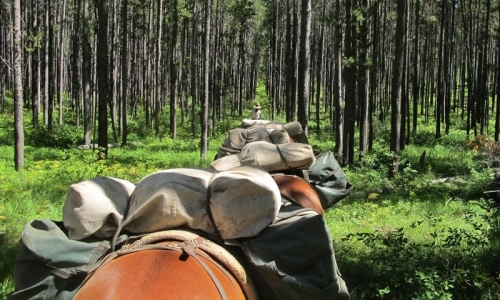 West Yellowstone Horseback Riding