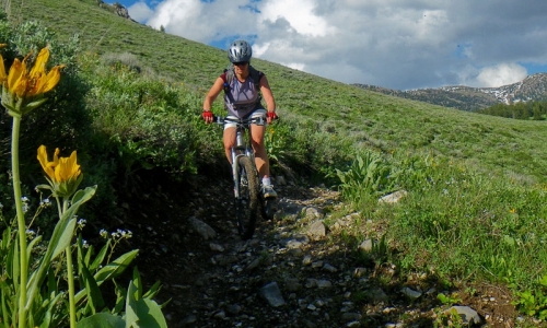 West Yellowstone Mountain Biking