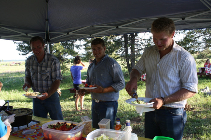 Yellowstone Horses - Halo Ranch Outfitters — , 