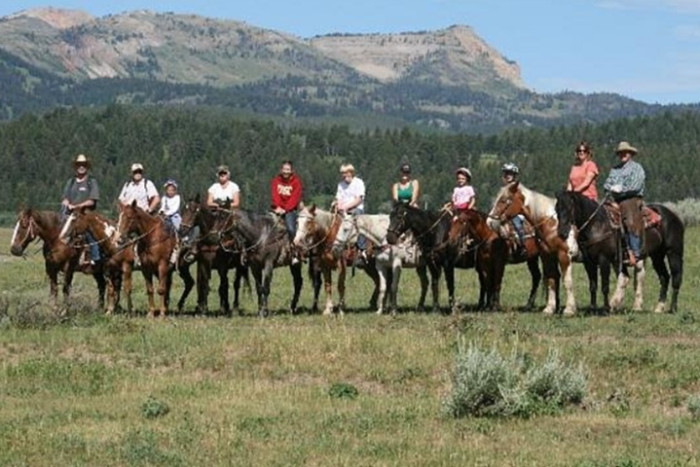 Yellowstone Horses - Halo Ranch Outfitters — , 