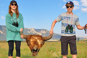 Yellowstone Hiking Guides | hikes kids love