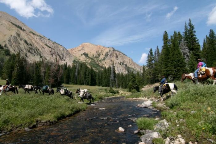 Yellowstone Mountain Guides — West Yellowstone, MT