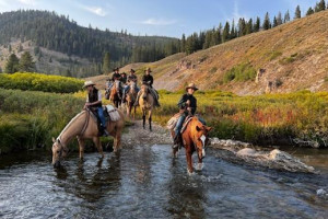 Trail Riding - Inside & Outside Yellowstone Park