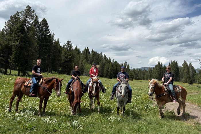Yellowstone Horses - Halo Ranch Outfitters — Island Park, ID