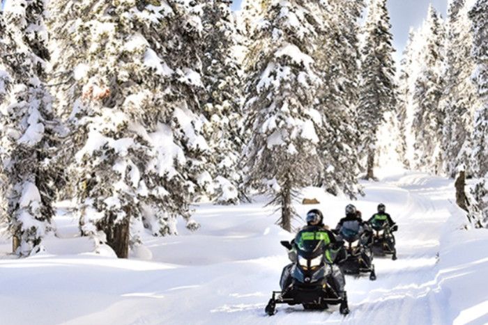 See Yellowstone Tours — West Yellowstone, MT