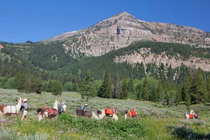 Wildland Trekking Company — Zion National Park, UT