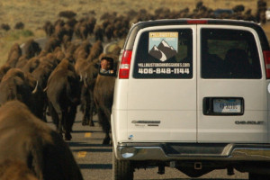 Yellowstone Hiking Guides and Active Van Tours