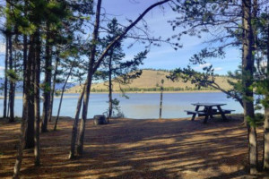 Madison Arm Campground & Cabins