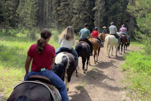 Creekside Trail Rides - 1 hour ride is $60