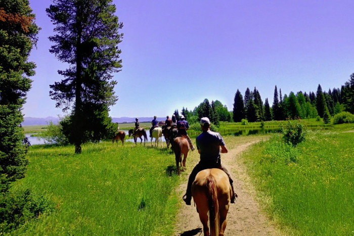 Creekside Trail Rides — , 