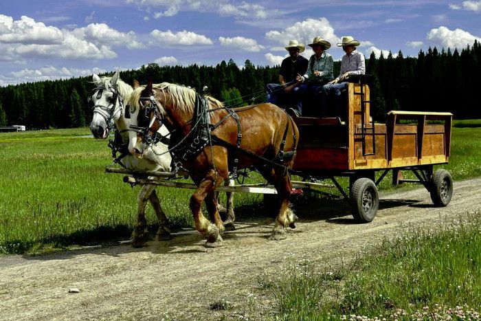 Creekside Trail Rides — West Yellowstone, MT