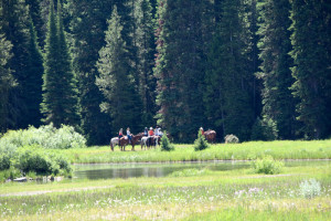 Creekside Trail Rides