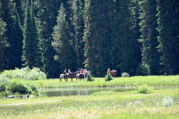 Creekside Trail Rides — West Yellowstone, MT