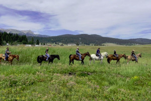 Creekside Trail Rides