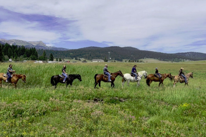 Creekside Trail Rides — , 
