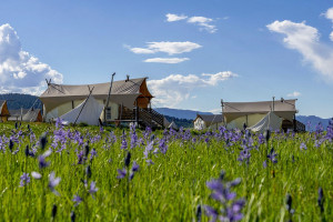 Under Canvas West Yellowstone | Glamping Cabins