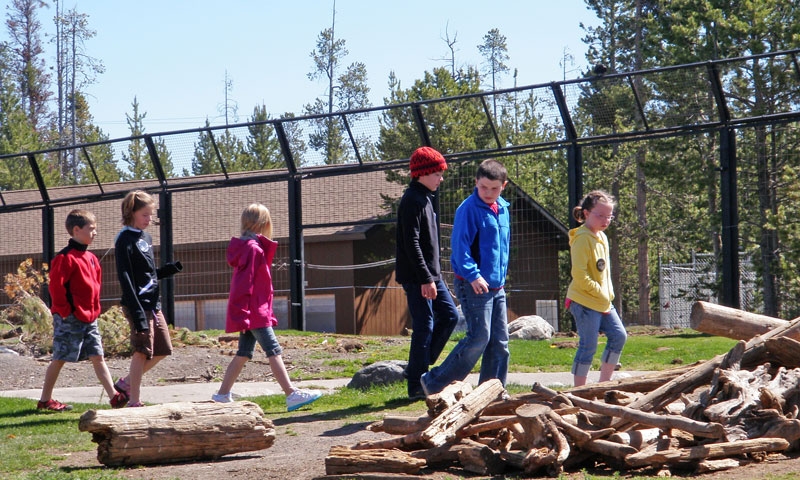 Kids exploring the Grizzly and Wolf Discovery Center in West Yellowstone