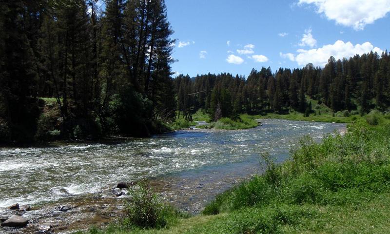 Madison River in Ennis