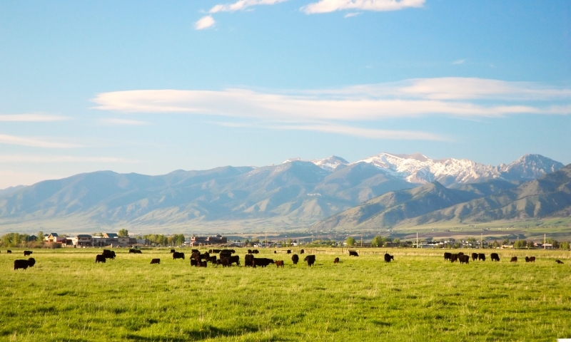 Gallatin Valley Bridger Mountains Bozeman Montana