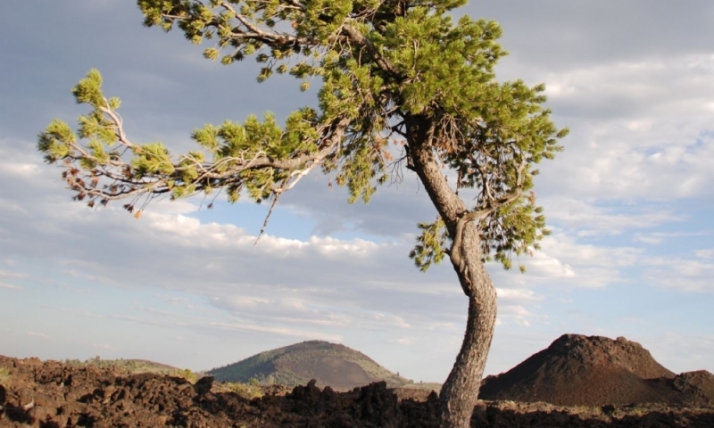 Craters Of The Moon Idaho