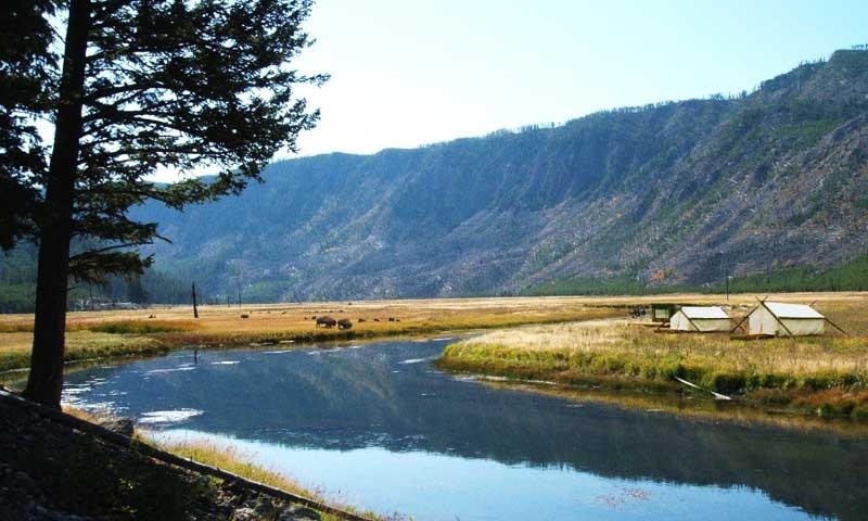 Yellowstone Camping