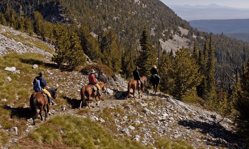 Horse / Llama Pack Trips