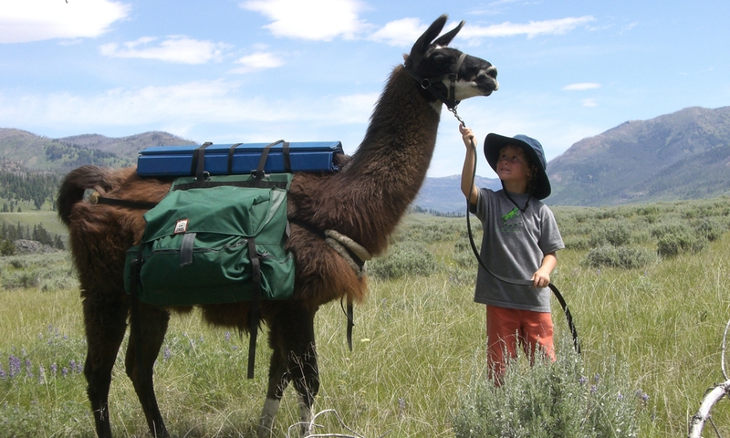 Horse / Llama Pack Trips