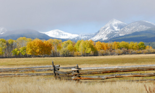 Bitterroot Mountains
