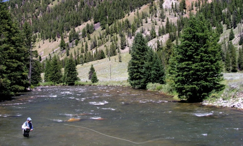 Gallatin River