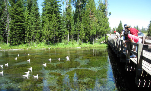 Big Springs