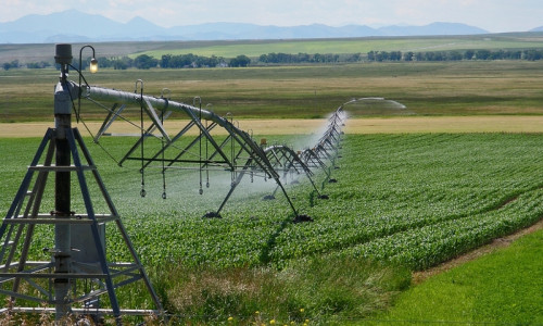 Madison River Valley