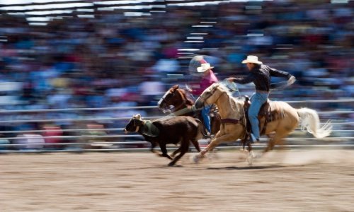 Local Rodeo