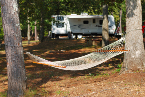 Summer Activities