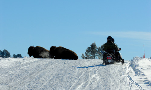 Winter Activities