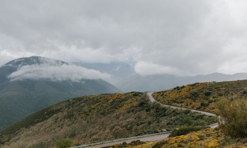 Road Report