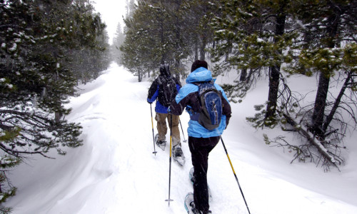 Snowshoeing