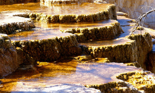 Mammoth Hot Springs