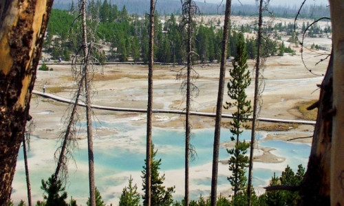 Norris Geyser Basin